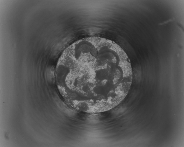 X0000103970527200810101311