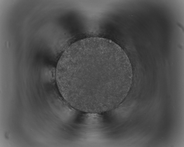 X0000103970528200810101311