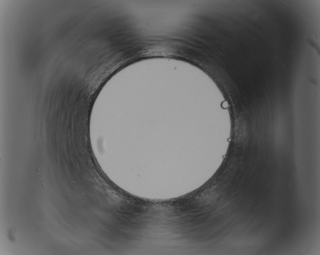 X0000103970529200810101310