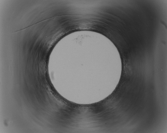 X0000103970530200810101310