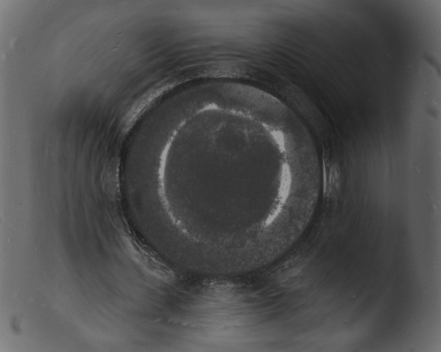 X0000103970531200810101310