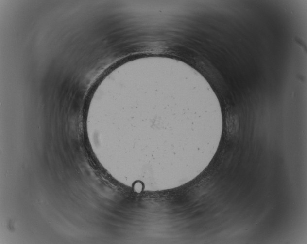 X0000103970532200810101310