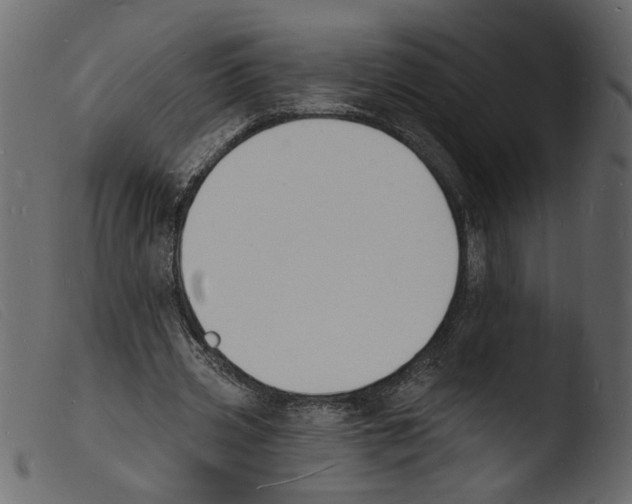 X0000103970533200810101310