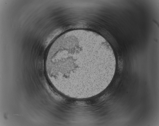 X0000103970534200810101310