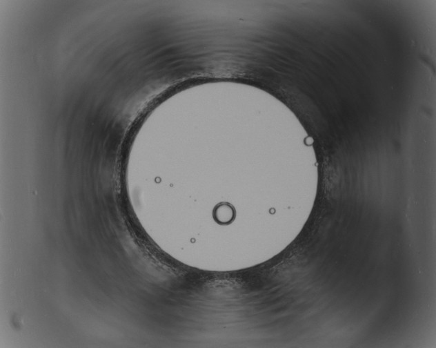 X0000103970536200810101310