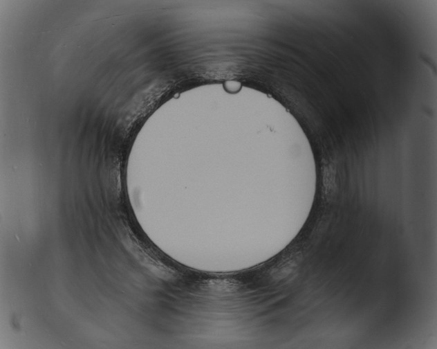 X0000103970541200810101310