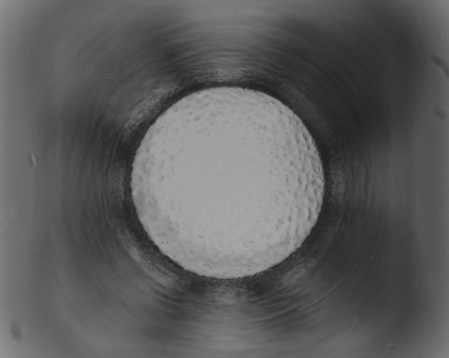 X0000103970542200810101310