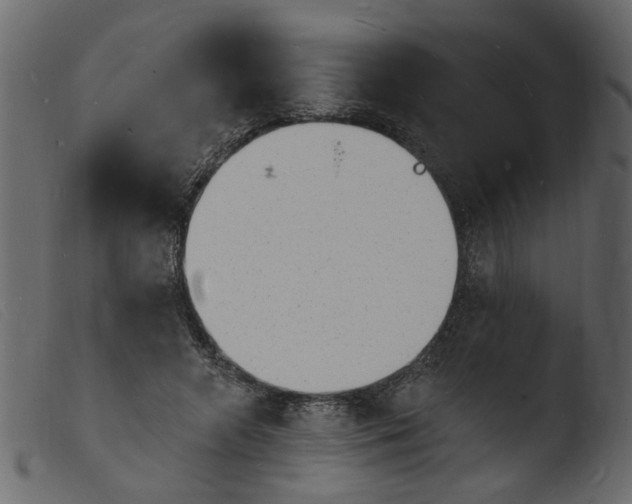 X0000103970546200810101311