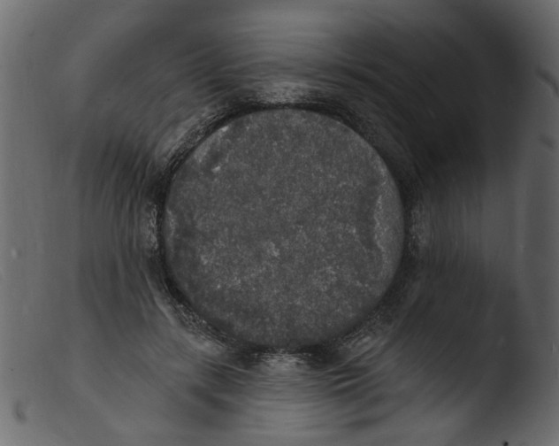 X0000103970547200810101311