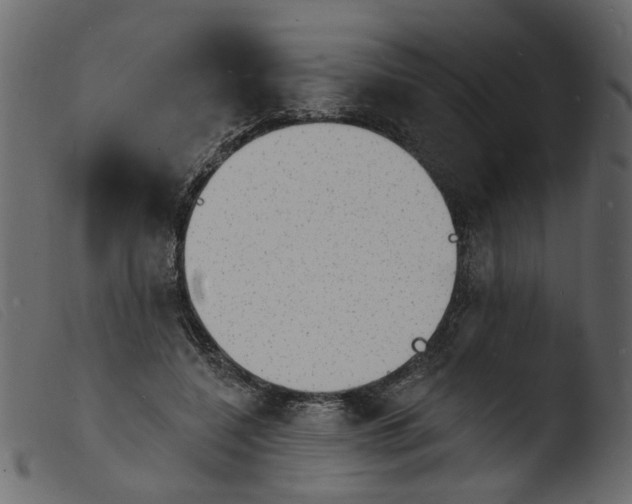 X0000103970548200810101311