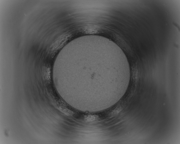 X0000103970549200810101311