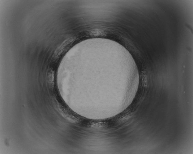 X0000103970550200810101311