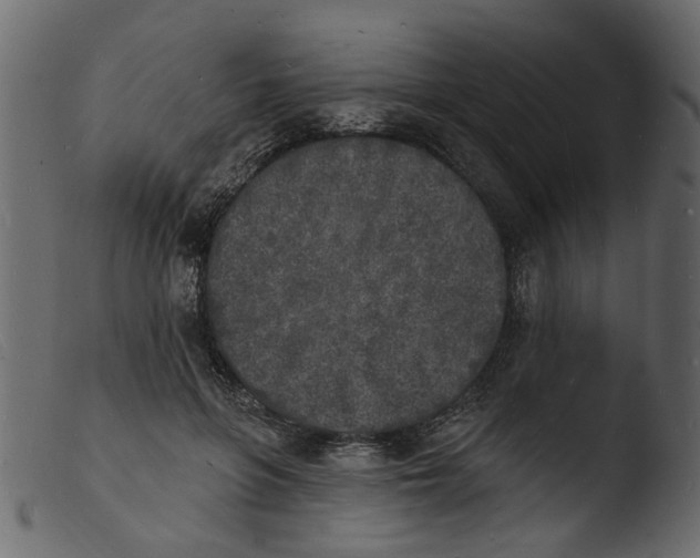 X0000103970551200810101311