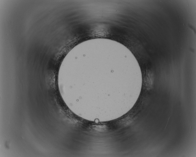 X0000103970552200810101311