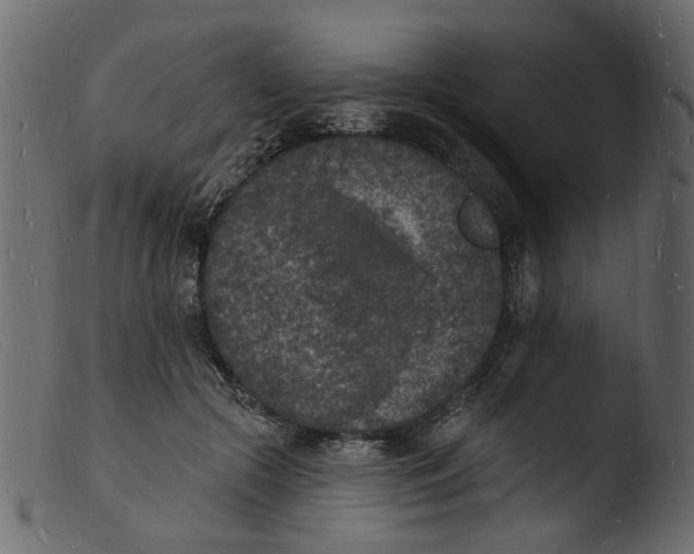 X0000103970553200810101311