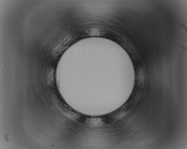 X0000103970554200810101311