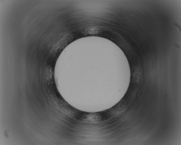 X0000103970555200810101311