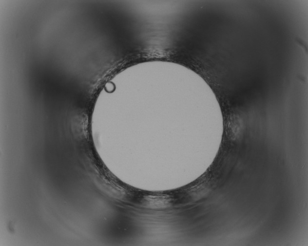 X0000103970556200810101311