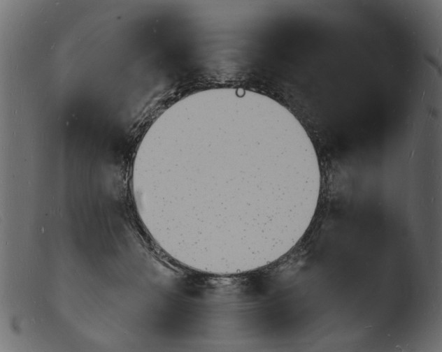 X0000103970558200810101311