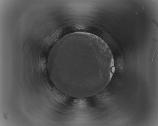 X0000103970559200810101311