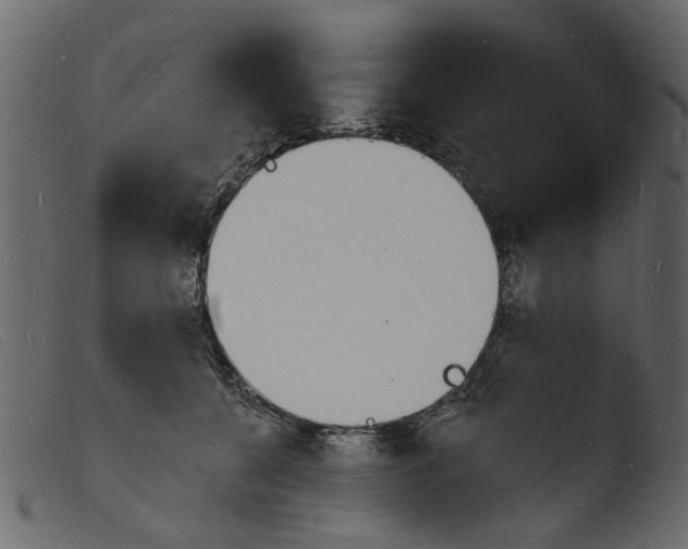 X0000103970560200810101311