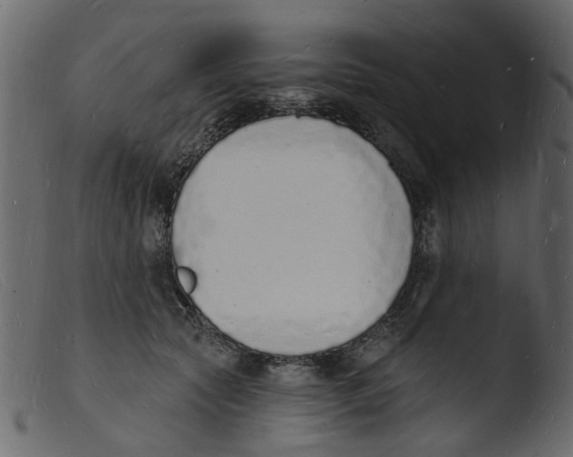 X0000103970561200810101311