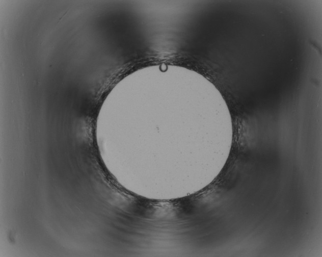 X0000103970562200810101311