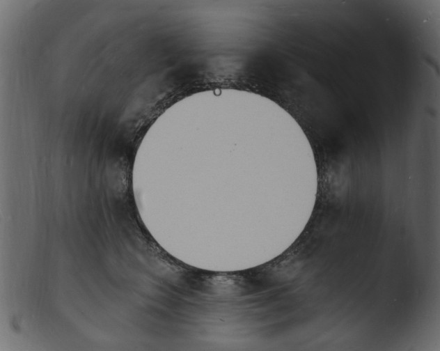 X0000103970566200810101311