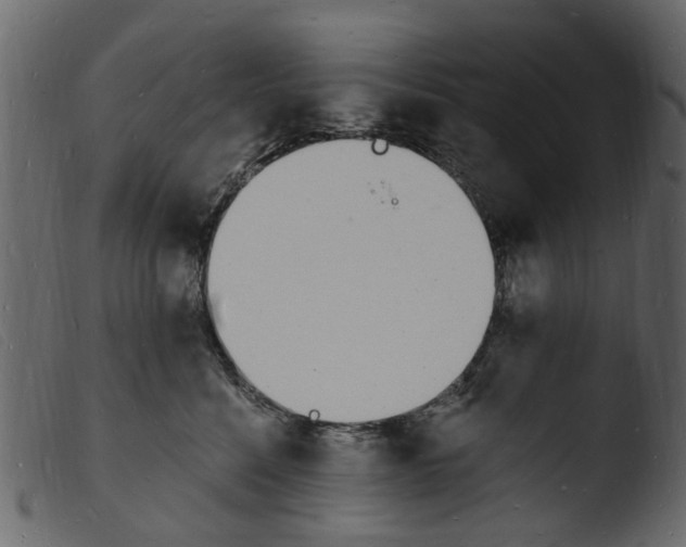 X0000103970568200810101311