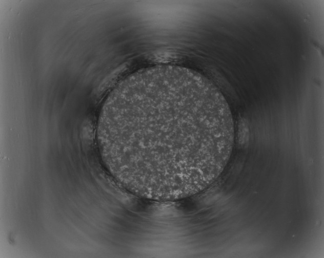 X0000103970569200810101311