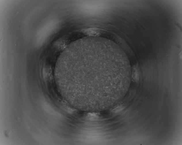 X0000103970573200810101311