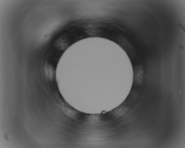 X0000103970574200810101311