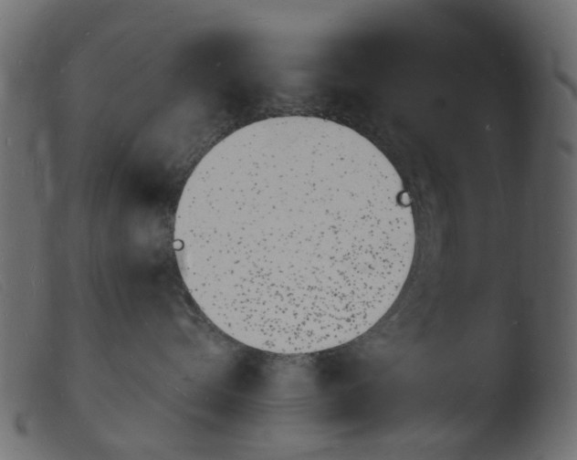 X0000103970576200810101311