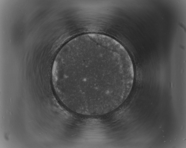 X0000103970577200810101310