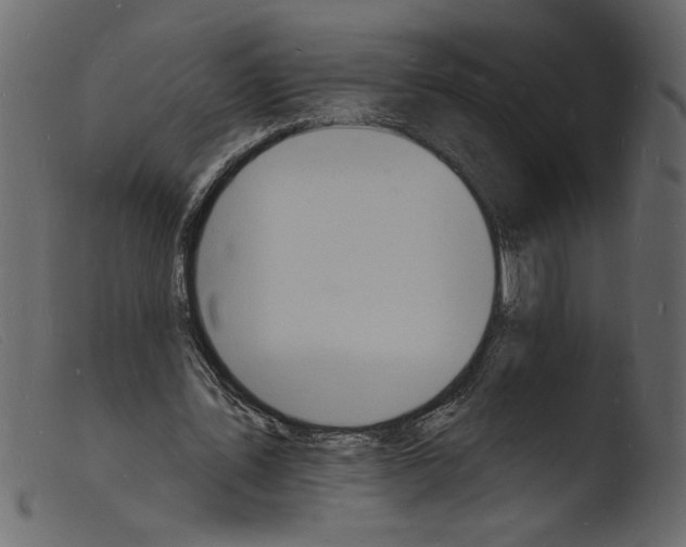 X0000103970579200810101310