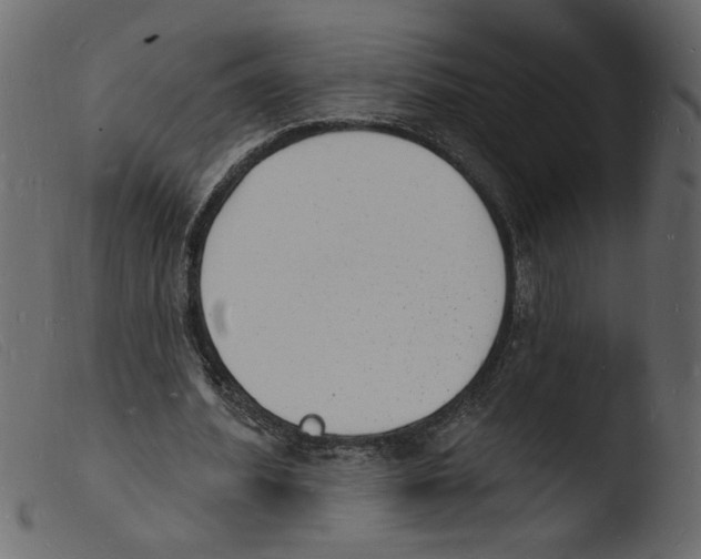 X0000103970580200810101310