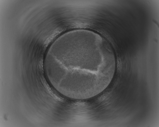 X0000103970581200810101310