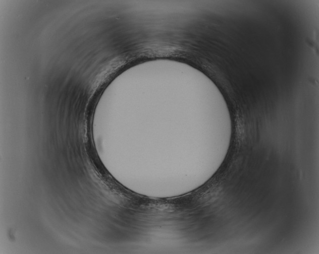 X0000103970582200810101310