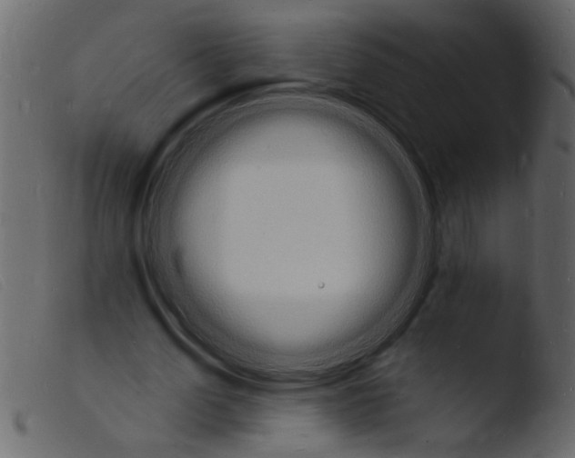 X0000103970583200810101310