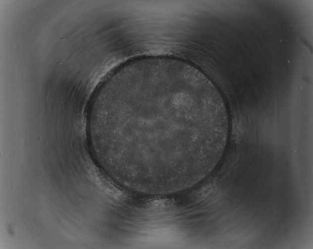 X0000103970584200810101310