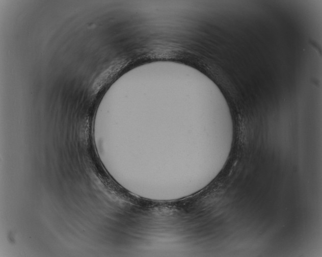 X0000103970586200810101310