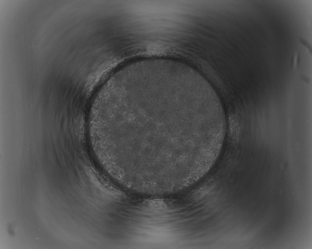 X0000103970588200810101310