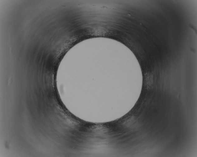 X0000103970589200810101310