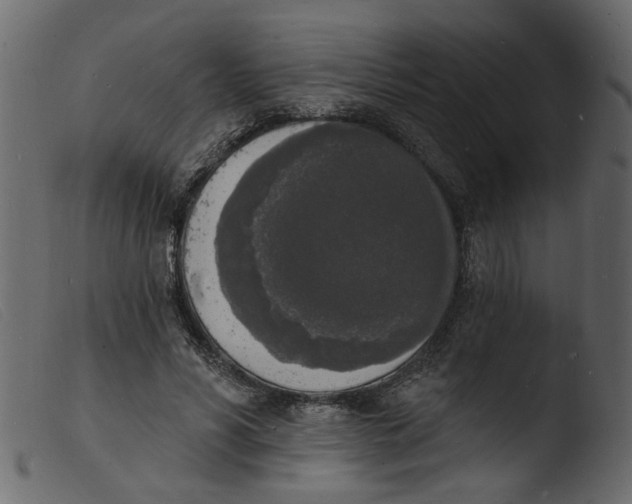 X0000103970590200810101310