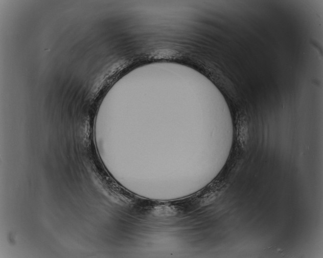 X0000103970591200810101310