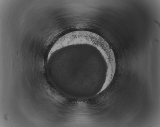 X0000103970592200810101310