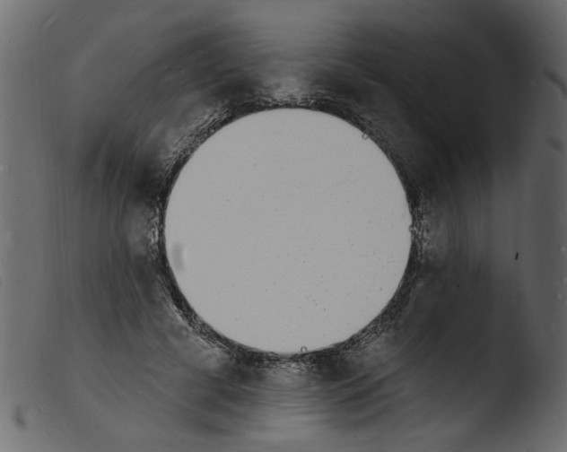 X0000103970593200810101310