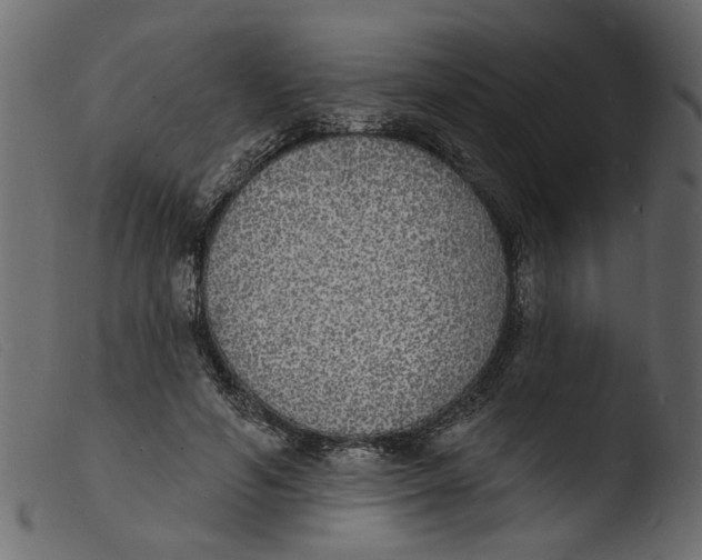 X0000103970594200810101310