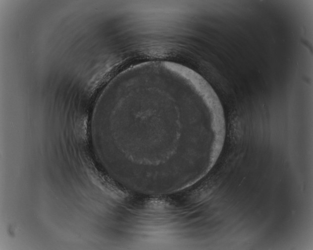 X0000103970596200810101310