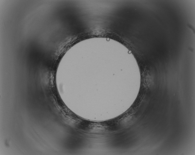 X0000103970597200810101310